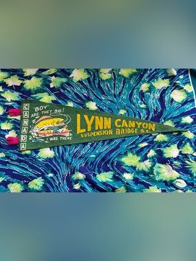 2/$20 ✨Vintage Lynn Canyon BC Pennant Felt Flag✨